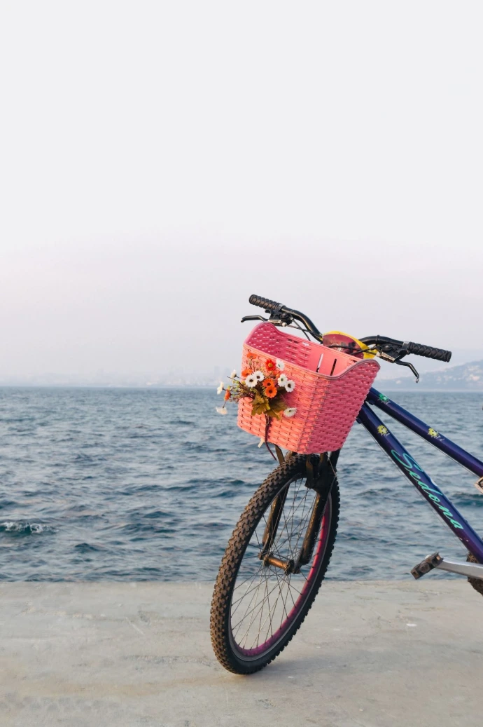 black and blue bicycle with basket